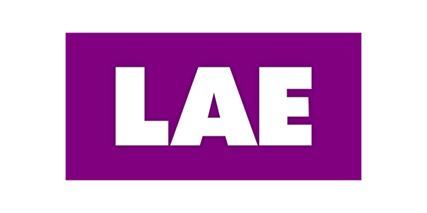 LAE Leseranalyse Entscheidungsträger